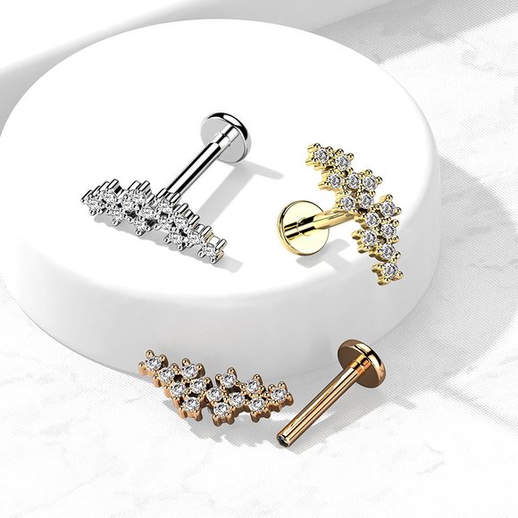 Cluster of Prong Set CZ Top on Internally Threaded 316L Surgical Steel Flat Back - Picture 1 of 6